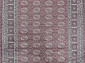 ZUMMA F592 PINK