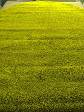 Ковер KEOPS SHAGGY 000 GREEN Овал